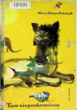 Tam nieposkromiony