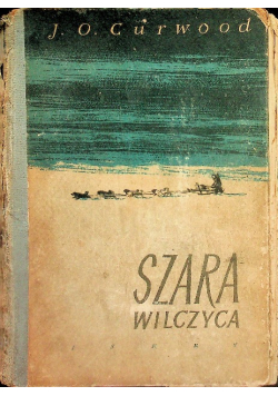Szara wilczyca