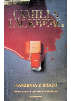 Faye Tom 3  Marzenia z brązu