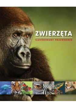 Ilustrowany przewodnik. Zwierzęta