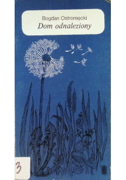 Dom odnaleziony