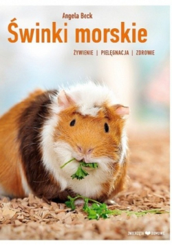 Świnki morskie
