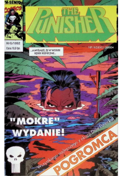 The punisher Nr 6