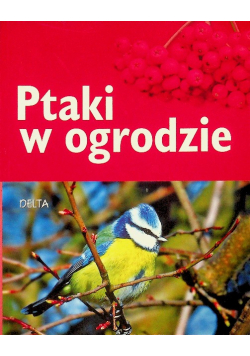 Ptaki w ogrodzie