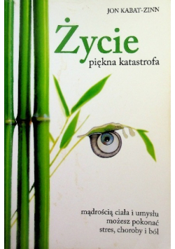 Życie  piękna katastrofa
