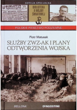 Służby ZWZ AK i plany wojska odtworzonego