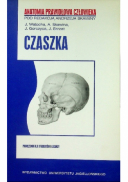 Czaszka