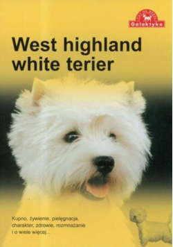 Pies na medal. West highland white terier