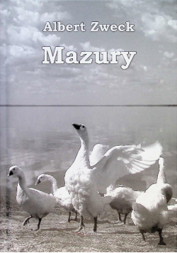Mazury