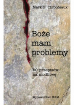 Boże mam problemy