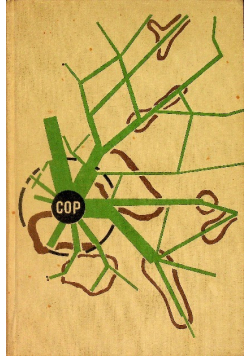 Sztafeta Książka o polskim pochodzie gospodarczym 1939 r.