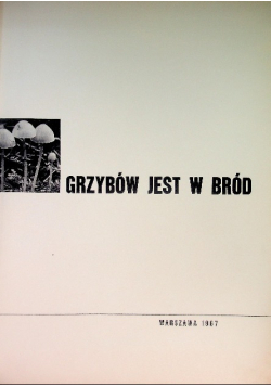 Grzybów jest w bród