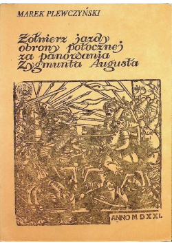 Żołnierz jazdy obrony potocznej za panowania