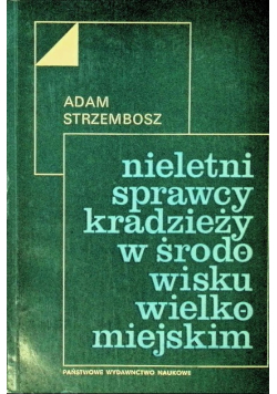 Nieletni sprawcy kradzieży w środowisku wielkomiejskim