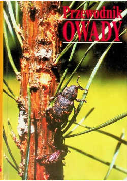 Przewodnik Owady