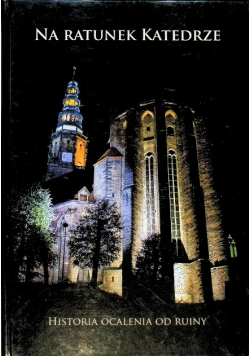 Na ratunek katedrze historia ocalenia od ruiny