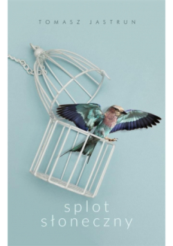 Splot słoneczny