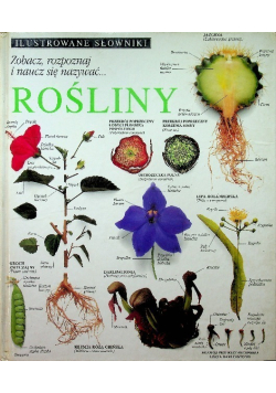 Ilustrowane słowniki Rośliny