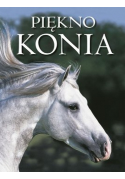 Piękno konia