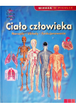 Ciało człowieka