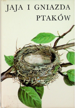Jaja i gniazda ptaków