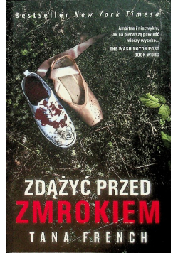 Zdążyć przed zmrokiem