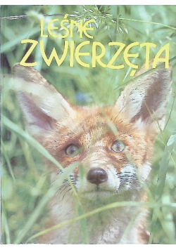 Leśne zwierzęta
