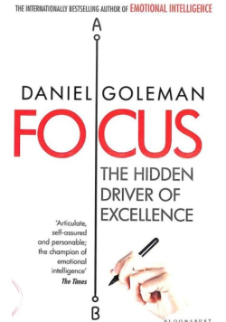 Focus the hidden driver of excellence