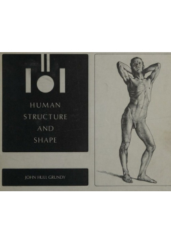 Human Structure And Shape