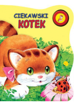 Ciekawski kotek