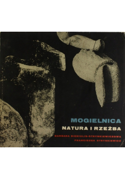 Mogielnica natura i rzeźba