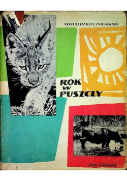 Rok w puszczy