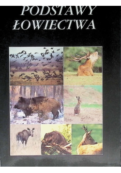 Podstawy łowiectwa
