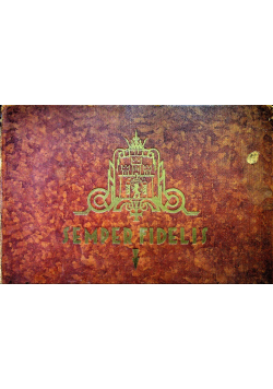 Semper Fiedlis Obrona Lwowa 1930 r.