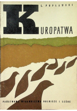 Kuropatwa