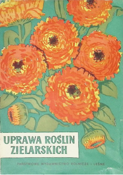Uprawa roślin zielarskich
