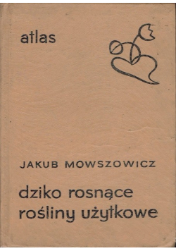 Dziko rosnące rośliny użytkowe