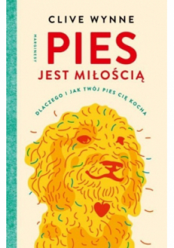 Pies jest miłością