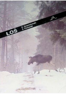Łoś