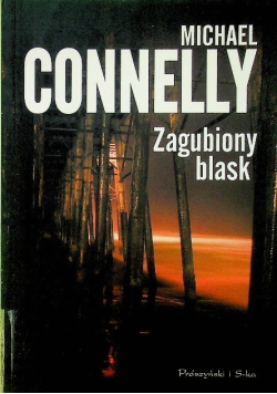 Zagubiony blask