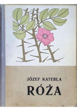 Róża Dramat niesceniczny 1909 r.