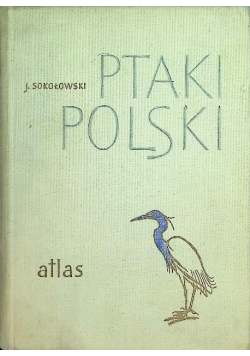 Ptaki Polski