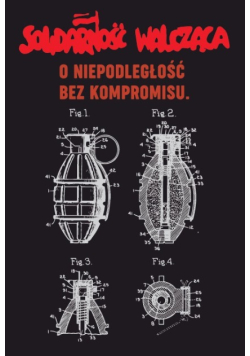 Solidarność walcząca o niepodległości bez kompromisu