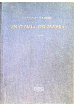 Anatomia człowieka Tom VII