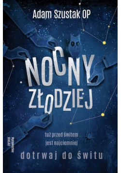 Nocny złodziej