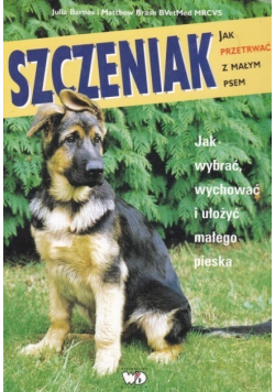 Szczeniak jak przetrwać z małym psem