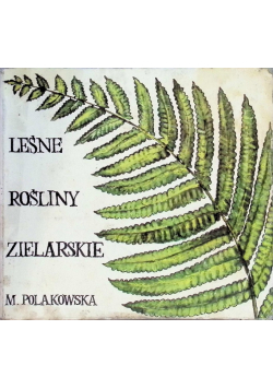 Leśne rośliny zielarskie