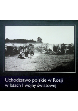 Uchodźstwo polskie w Rosji w latach I wojny światowej