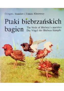 Ptaki biebrzańskich bagien