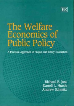 The Welfare Economics of Public Policy